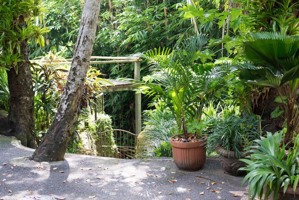 Serenity House Hotel Ubud Zewnętrze zdjęcie