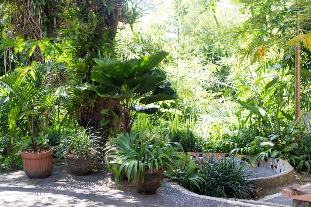 Serenity House Hotel Ubud Zewnętrze zdjęcie