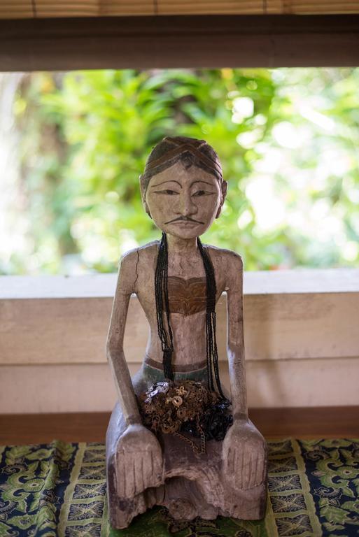 Serenity House Hotel Ubud Zewnętrze zdjęcie