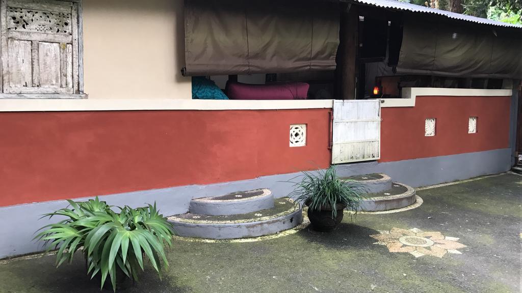 Serenity House Hotel Ubud Zewnętrze zdjęcie